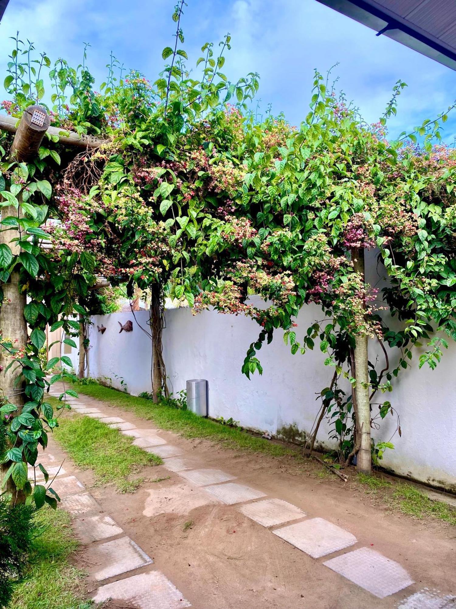 Pousada Paraiso Dos Milagres Sao Miguel dos Milagres Bagian luar foto